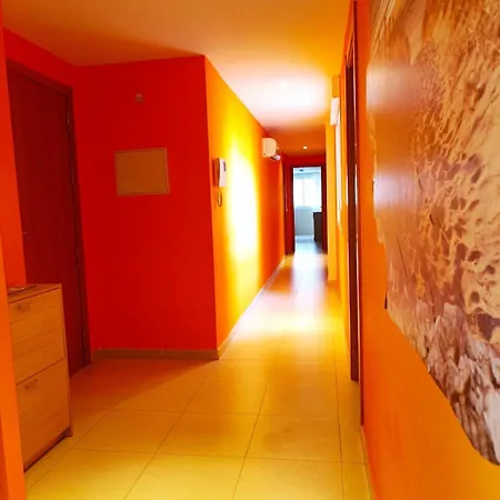 Centro Avinon Camp Daire Peñíscola